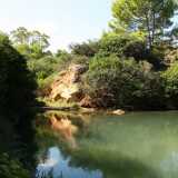 ...venendo sommersi dalla fitta e selvaggia natura che si riflette nell�acqua placida e trasparente